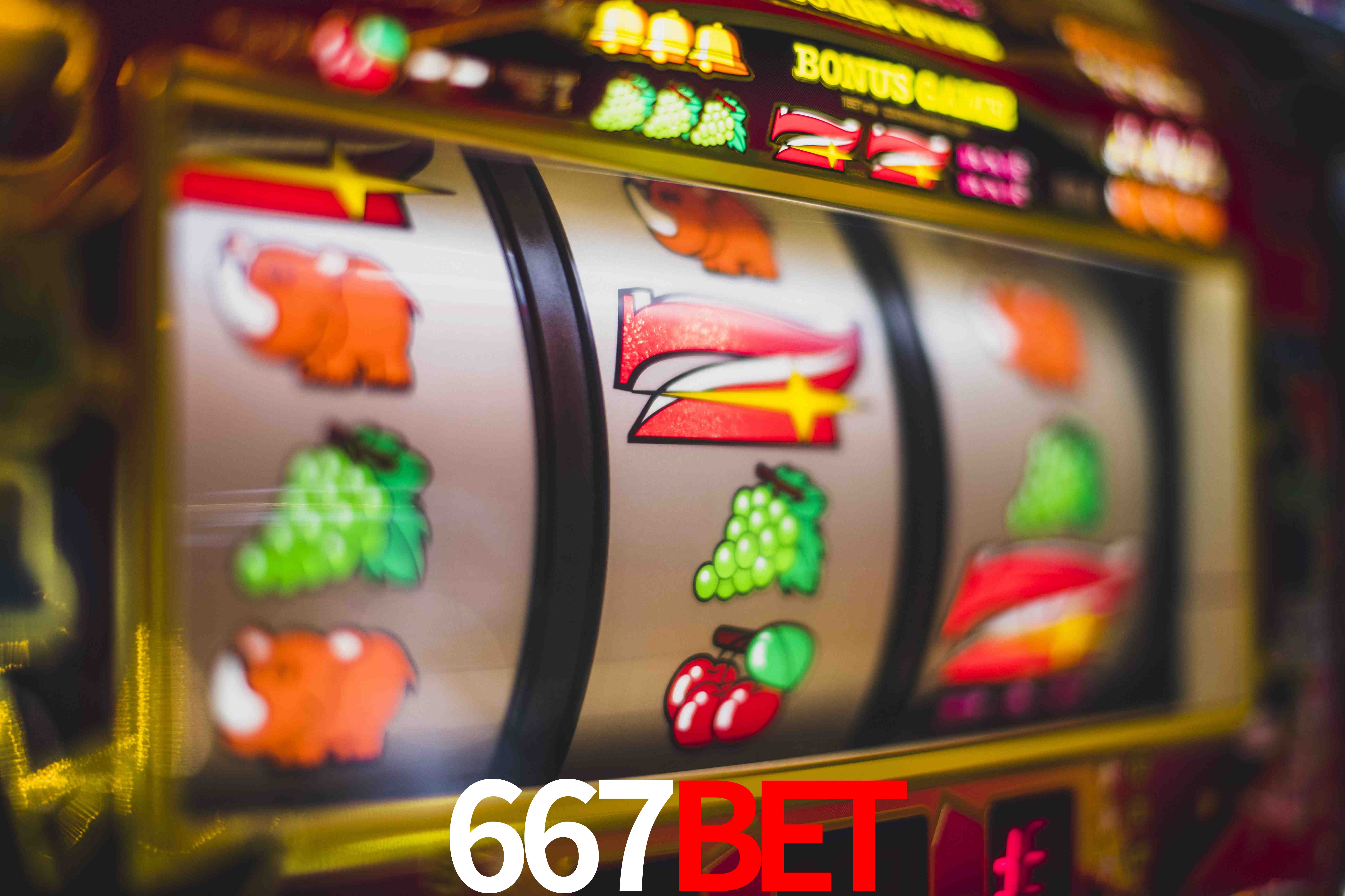Football Betting 667bet